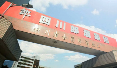 四川郎酒集团机房监控项目